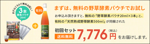 �V�R�n���쑐�y�f �̔��X